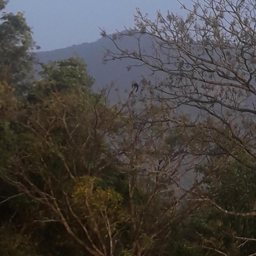 הוילה ויטירי Wayanad Snow Vibes מראה חיצוני תמונה